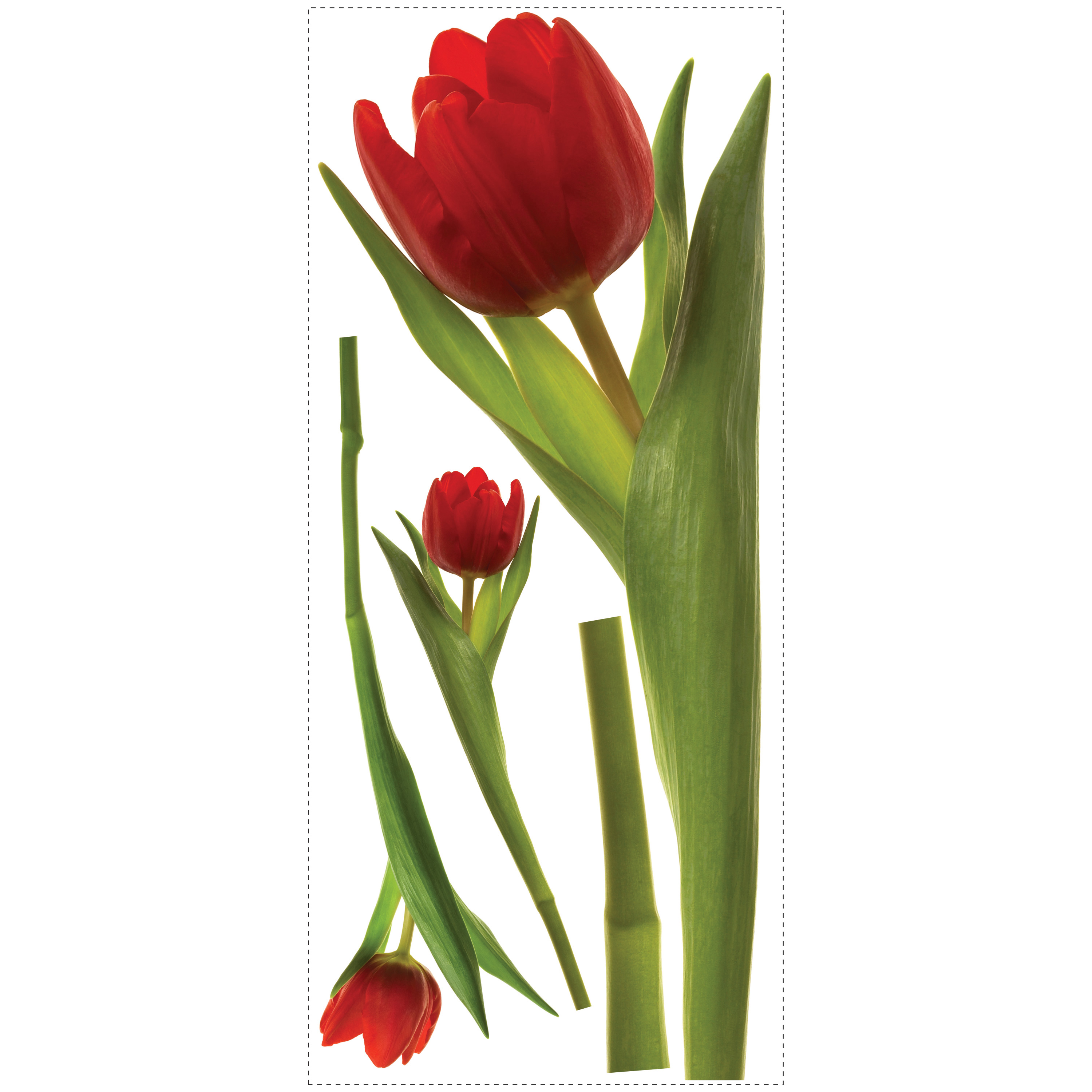 RoomMates wall decal Tulip, decal sheet with photorealistic red tulip and leaf motifs on a white background