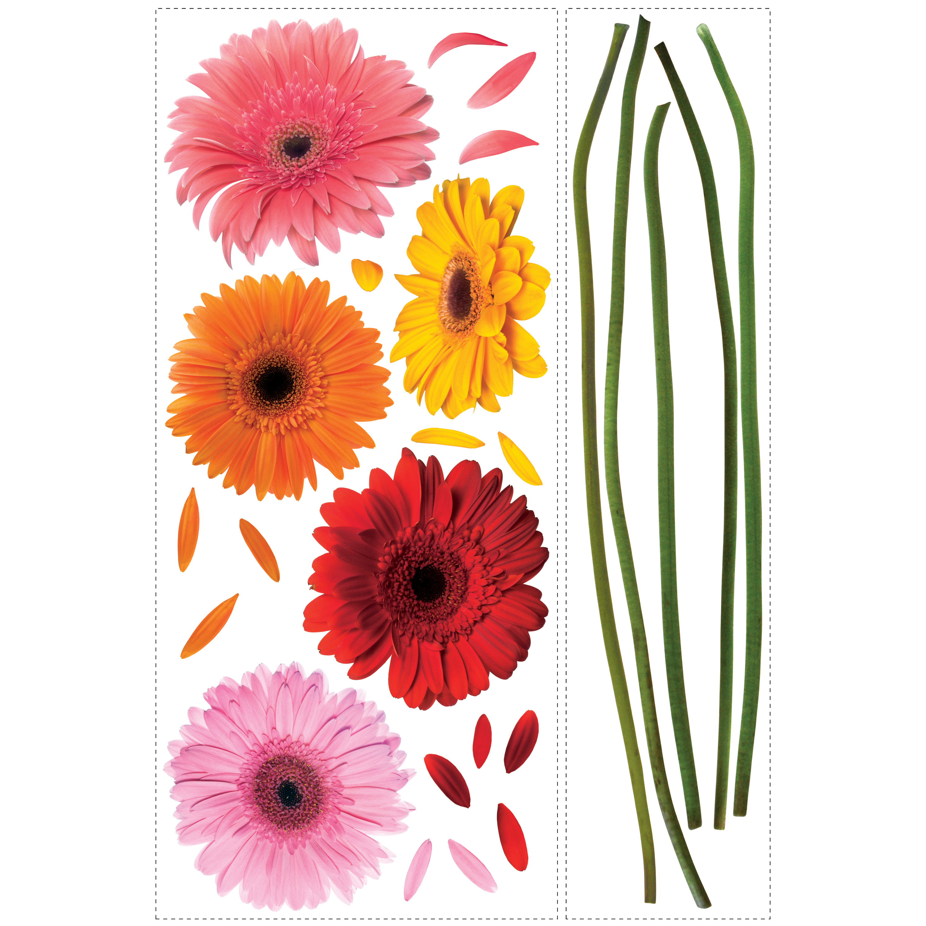 RoomMates Wandbild Gerber Daisies, Klebebogen mit fotorealistischen Gerbera-Blüten und einzelnen Stängeln auf weißem Untergrund