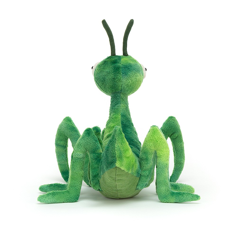 Jellycat Kuscheltier Gottesanbeterin - Penny Praying Mantis (Plüschtier) Jellycat Kuscheltier Gottesanbeterin - Penny Praying Mantis (Plüschtier) - Produktbild 3