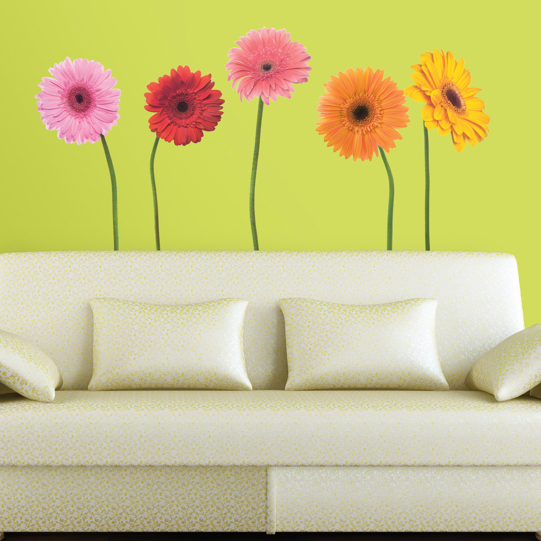 Gerber Daisies Wandbild - RoomMates Gerber Daisies Wandbild - RoomMates