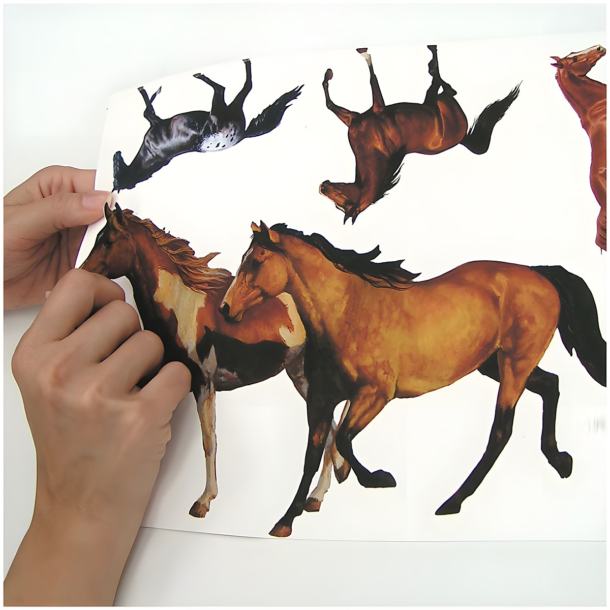 RoomMates Wandsticker Wild Horses, Hände lösen ein braunes Pferde-Motiv vom Trägerbogen, Anwendungsbeispiel