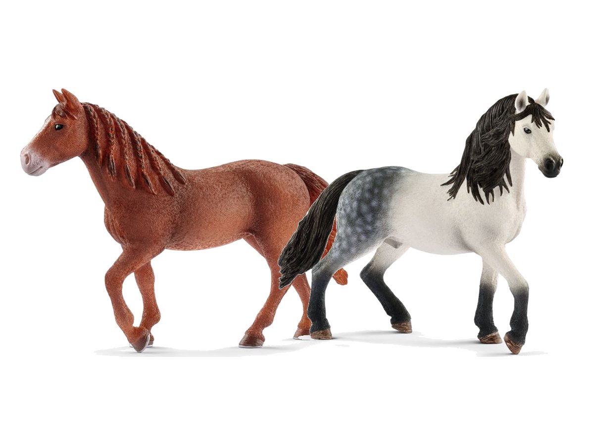Zwei Schleich-Pferde: Morgan-Horse-Stute und Andalusier-Hengst