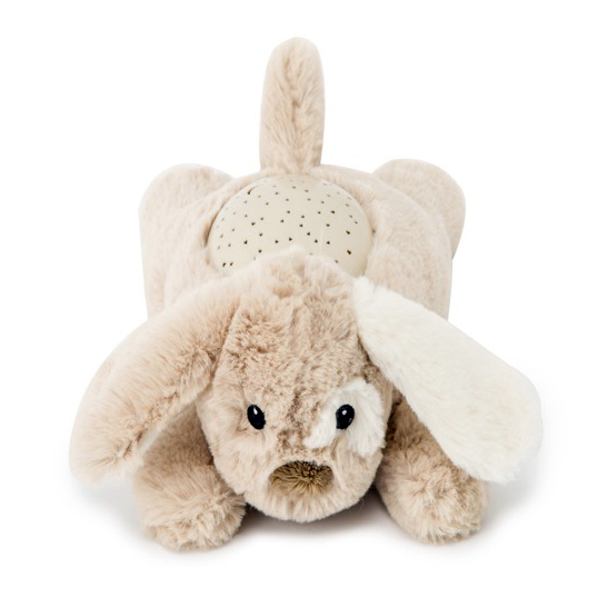 Cloud b sleep aid Dream Buddies dog, beige plush toy with ears folded forward, front view from above