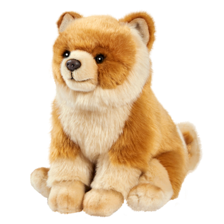 Sitting Spitz by Anima with fluffy orange-brown fur and a lighter ruff