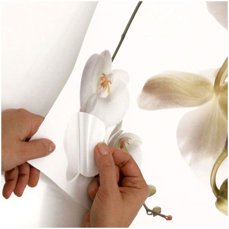 RoomMates wall decal White Orchid, hands peeling a white orchid blossom motif off the backing sheet, usage example