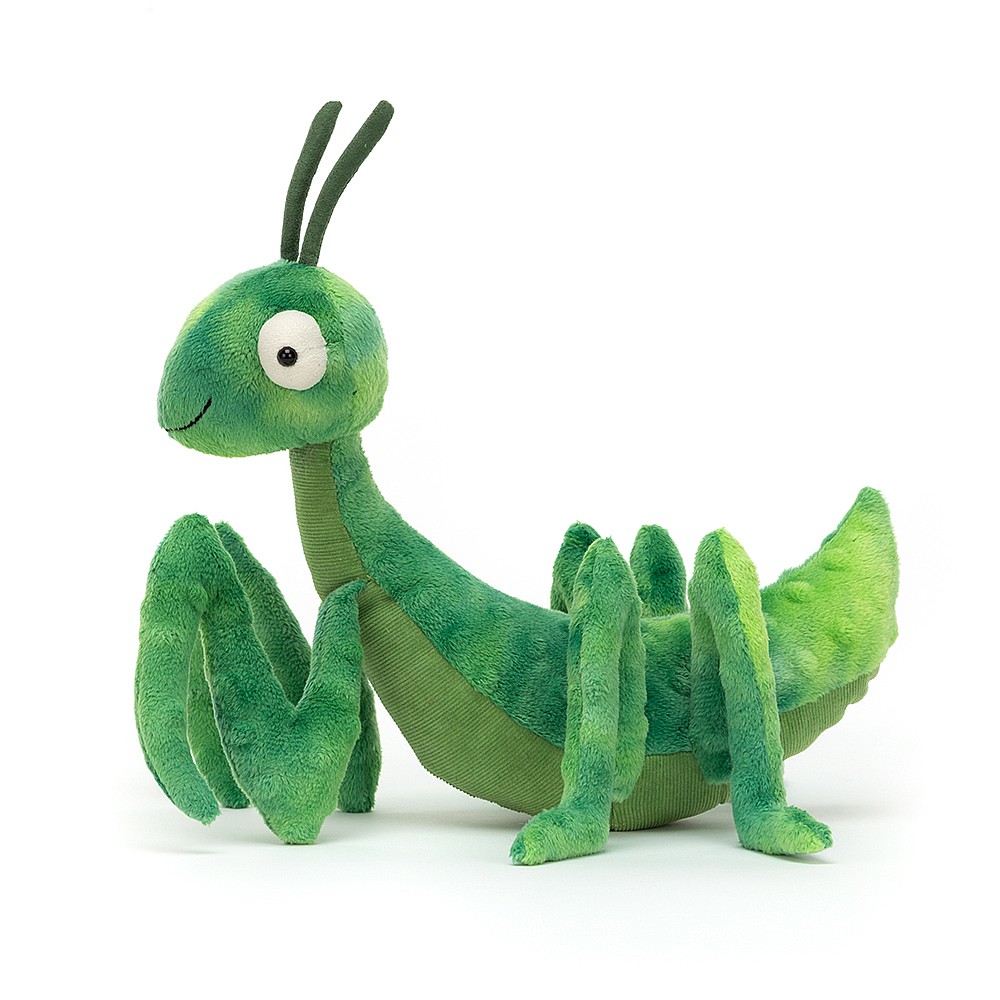 Jellycat Kuscheltier Gottesanbeterin - Penny Praying Mantis (Plüschtier) Jellycat Kuscheltier Gottesanbeterin - Penny Praying Mantis (Plüschtier) - Produktbild 2