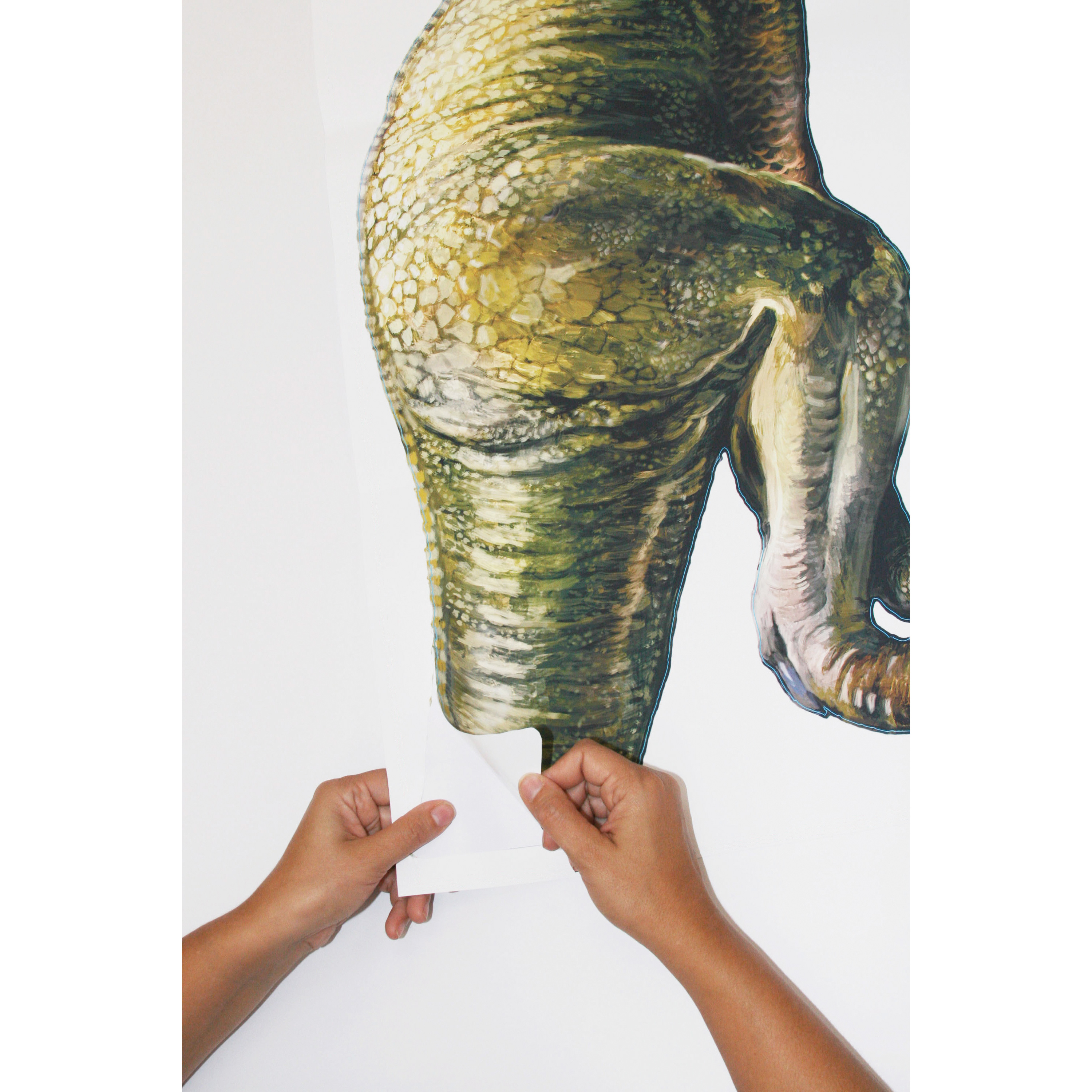 RoomMates wall decal Dinosaur, hands peeling the lower part of the T-Rex motif off the backing sheet, usage example